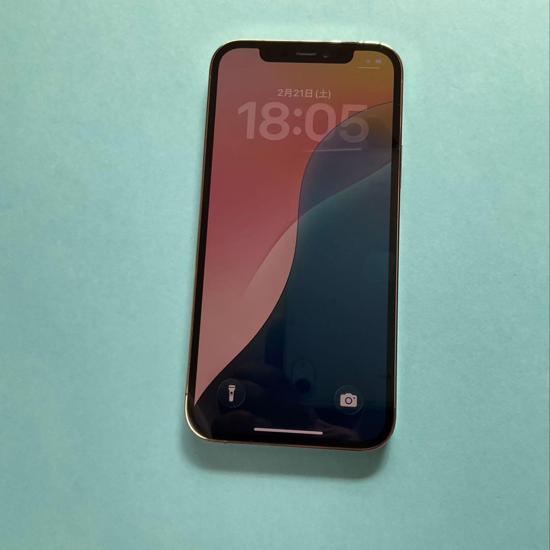 iPhone 12 Pro 256GB ゴールド 美品 ※1xカメラ不具合