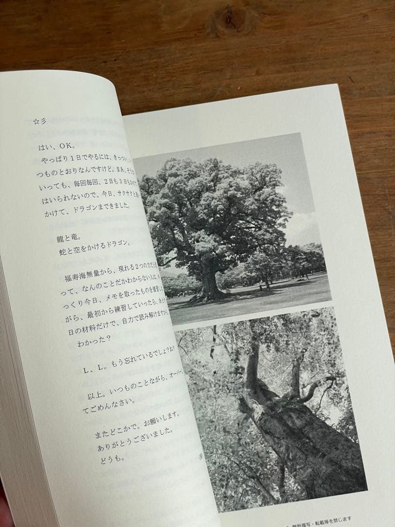 清水義久 セミナーDVD 真の龍使いになる方法 冊子おまけ