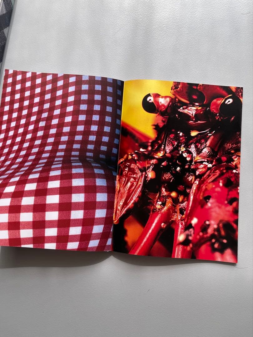 VISIONAIRE *20 COMME des GARCONS青