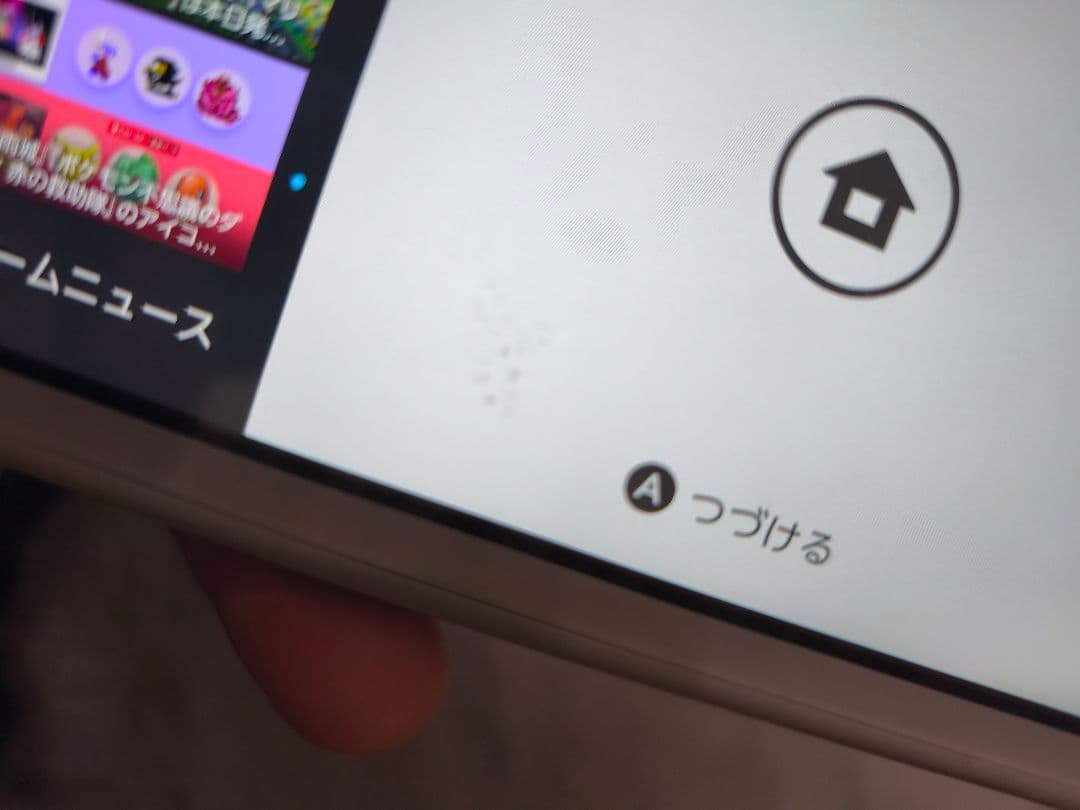 Nintendo Switch Lite ザシアン　ポケモン限定　本体
