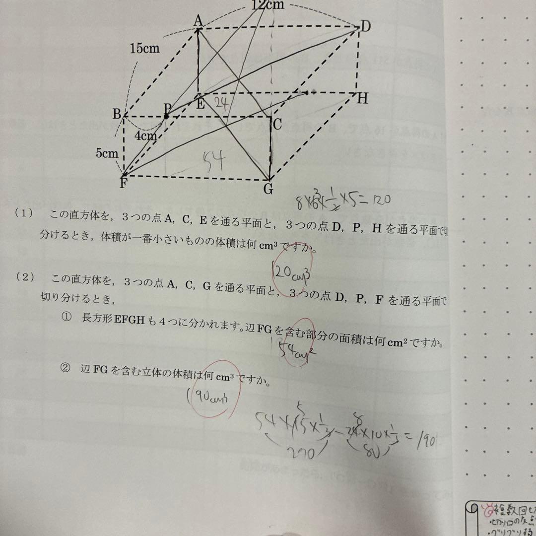 2024年度 早稲田アカデミー NN早稲田 日曜講座 後期テキスト
