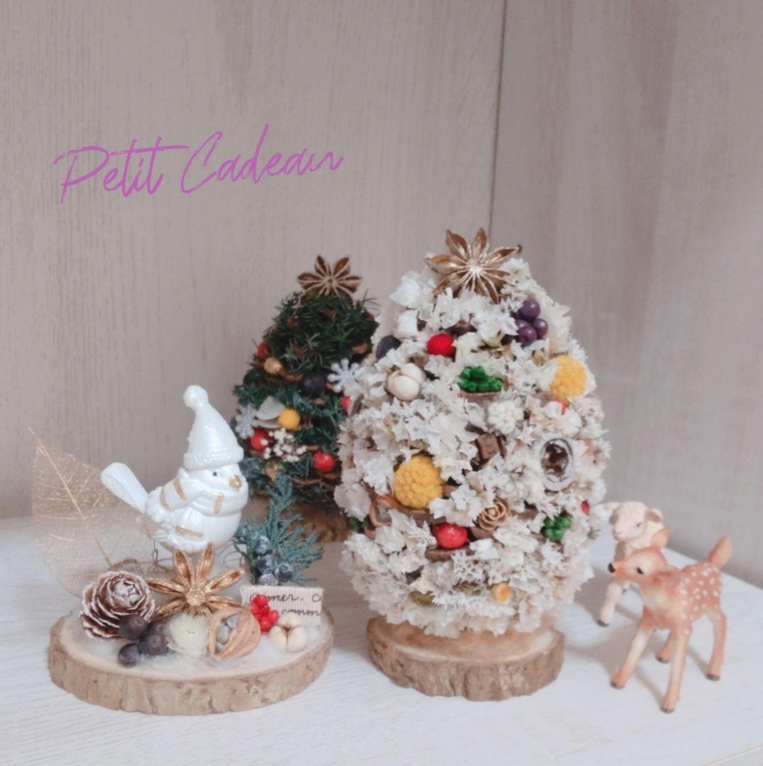 冬のツリー　大王松　ミニツリー　プリザーブド　クリスマスツリー　2個セット