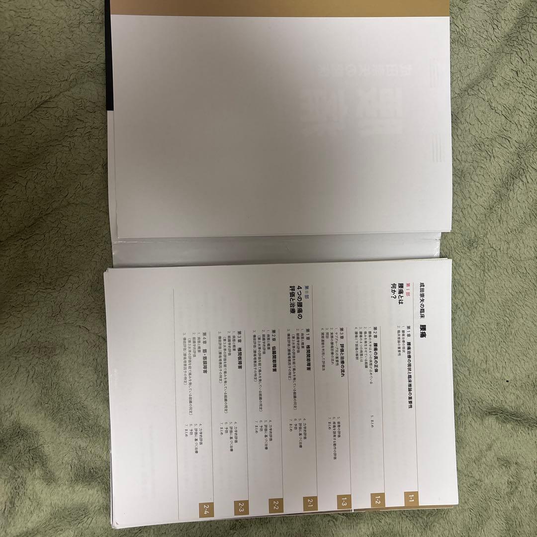 【裁断済】成田崇矢の臨床『腰痛』