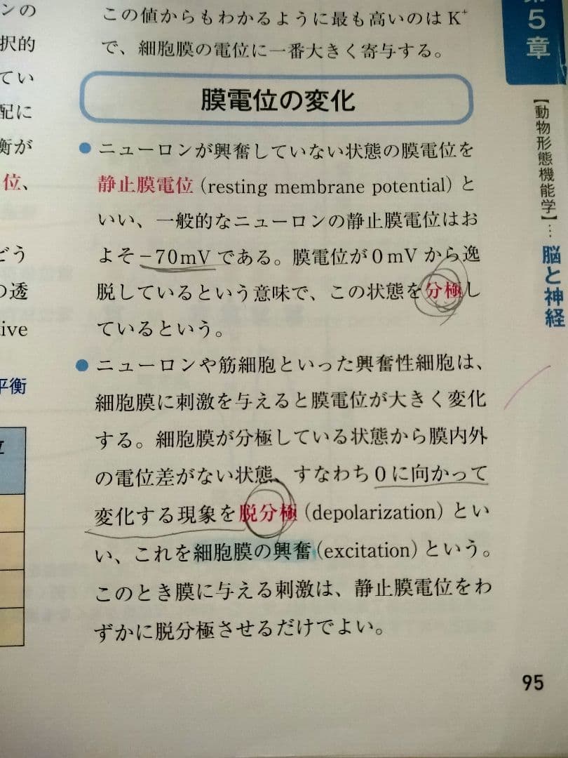 【全１０巻】愛玩動物看護師 カリキュラム準拠教科書