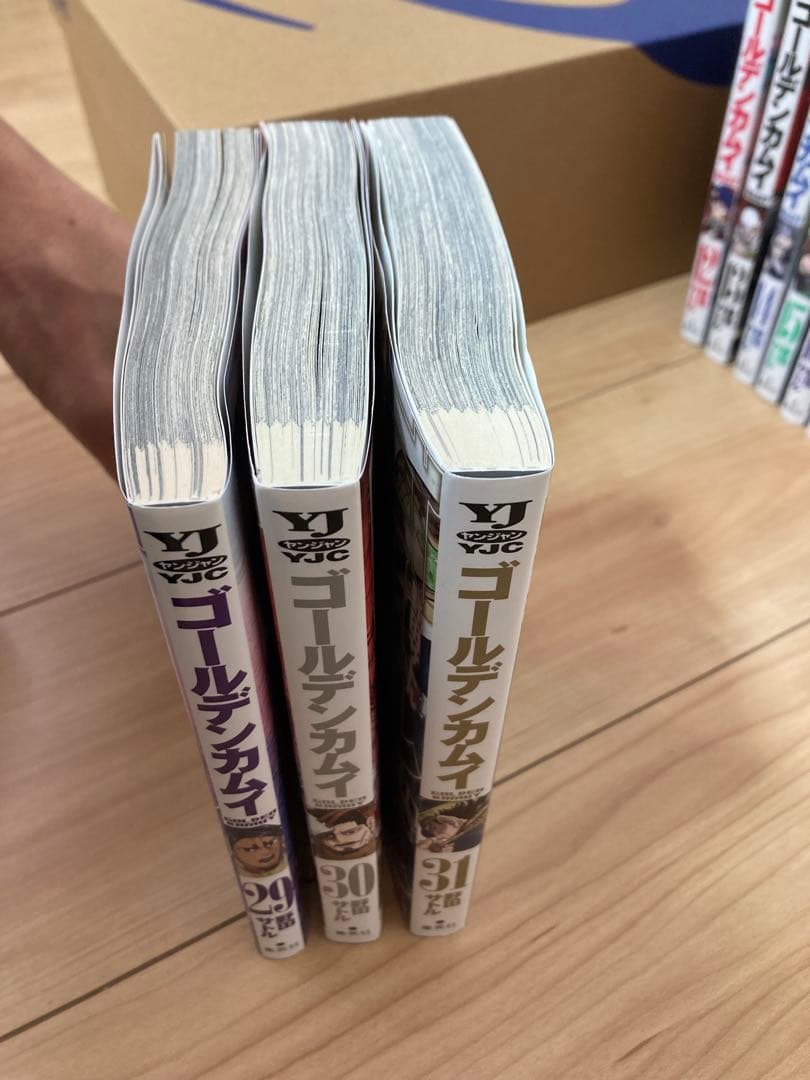 ゴールデンカムイ 漫画　12〜31巻（22巻抜け）と公式ファンブック20冊