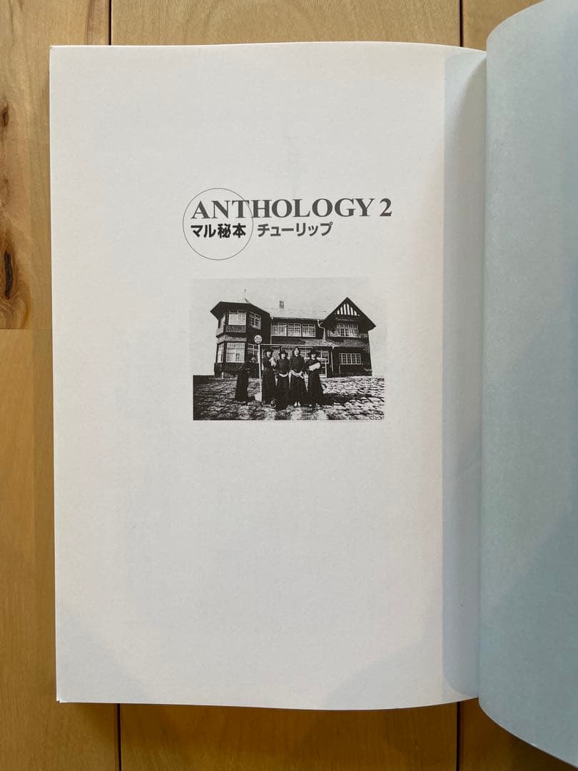 【チューリップ】ANTHOLOGY 2 TULIP 2001年版