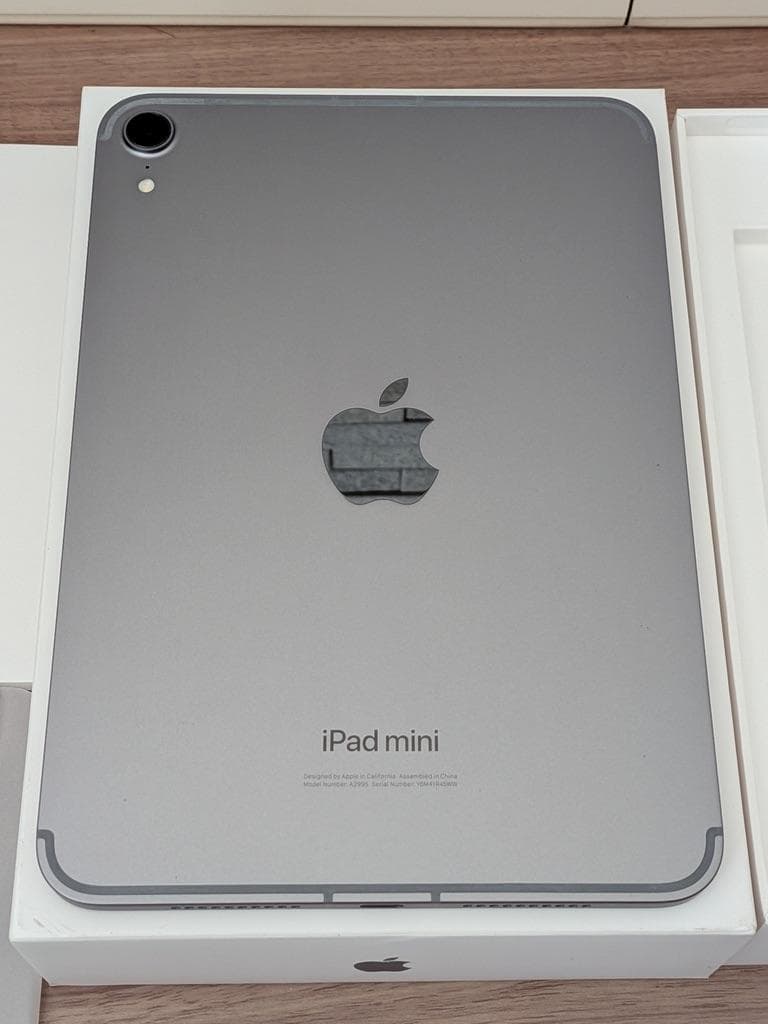 iPad mini 第7世代 Wifi+Cell 256GB スペースグレイ＋α