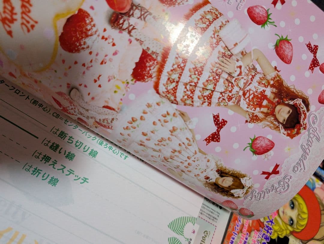 Gothic & Lolita Bible ゴスロリバイブル20〜29 10冊