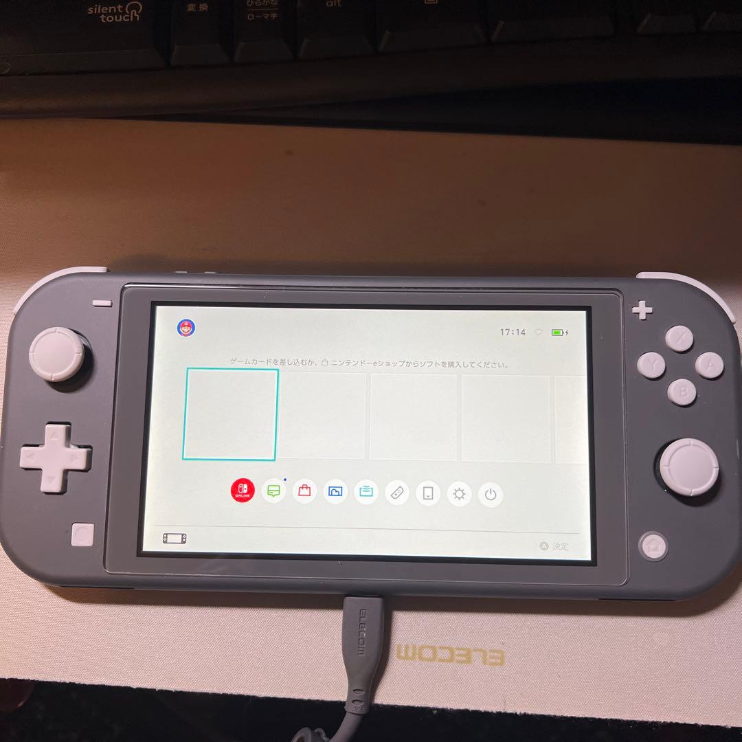 Nintendo switch Lite 本体のみ