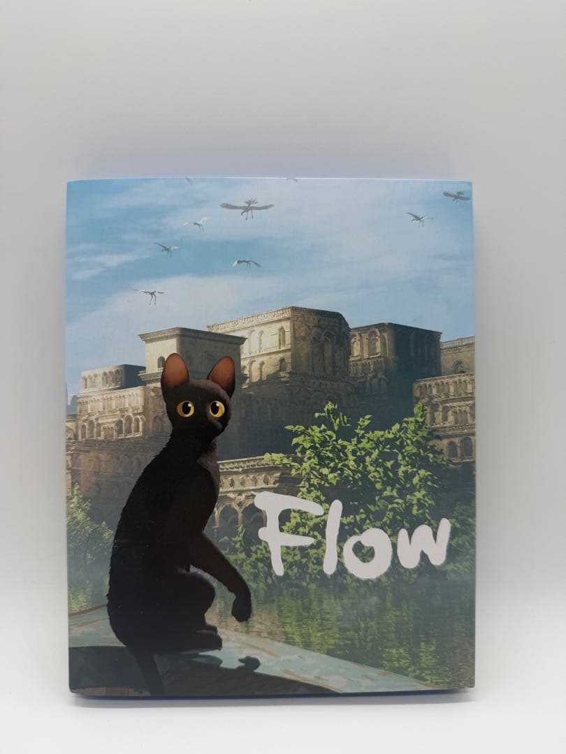洋*史様 Flow 限定版blu-ray