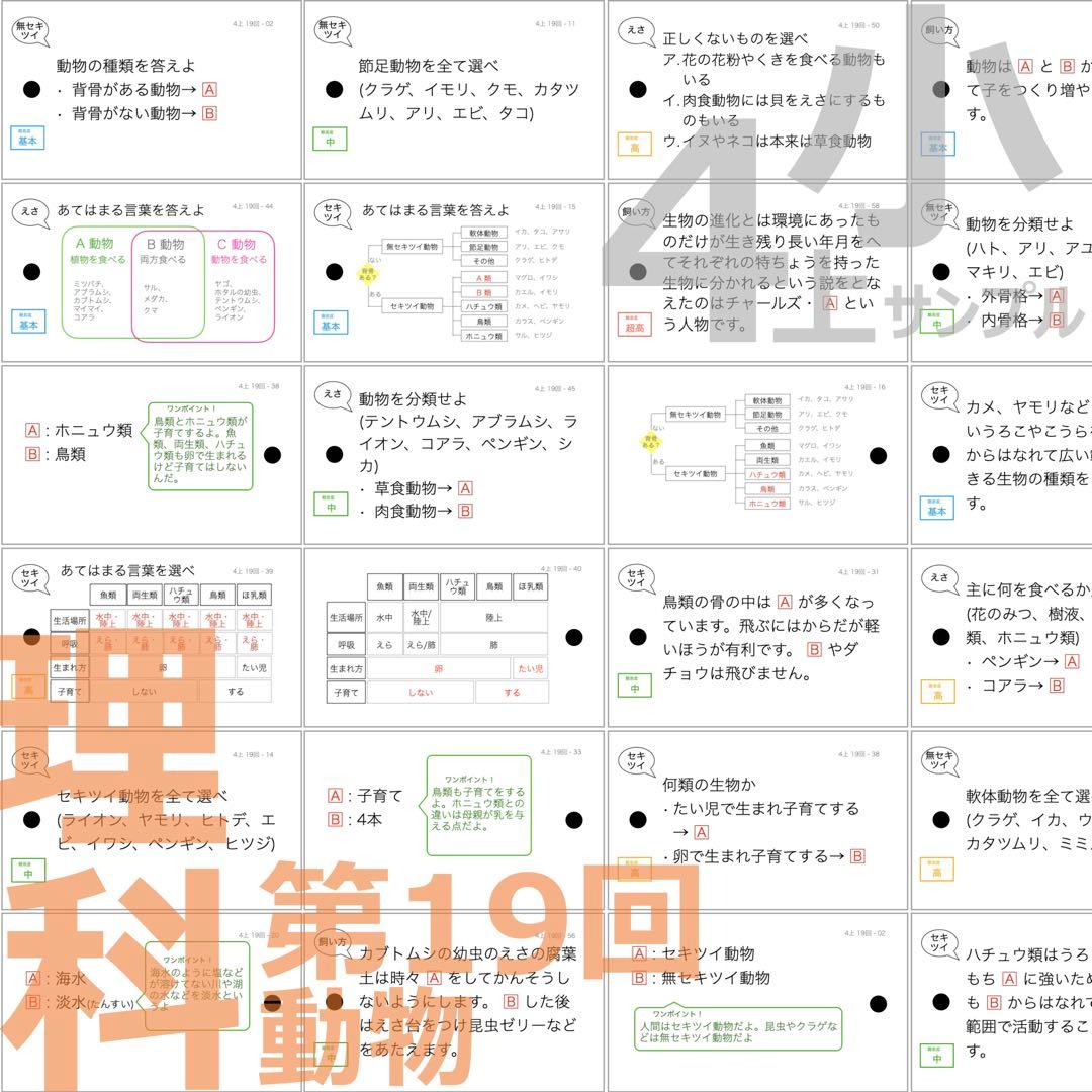 中学受験 暗記カード【4年上 理科 全セット 1-19回】組分けテスト対策