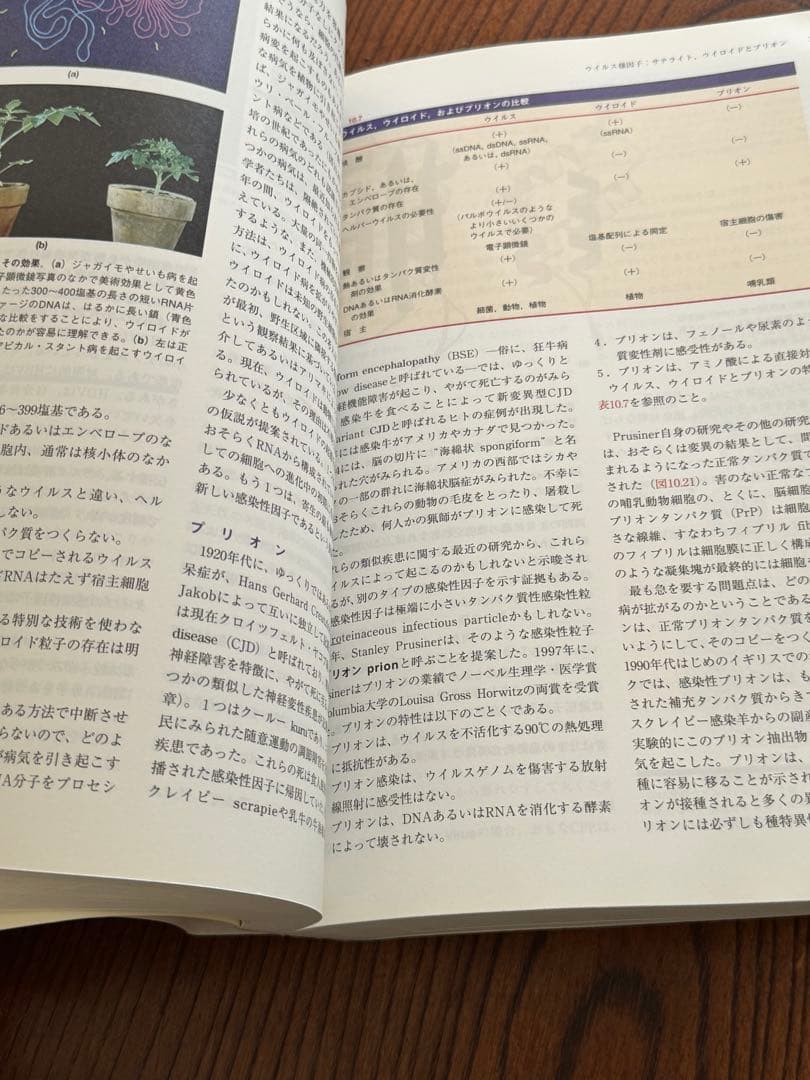 微生物学