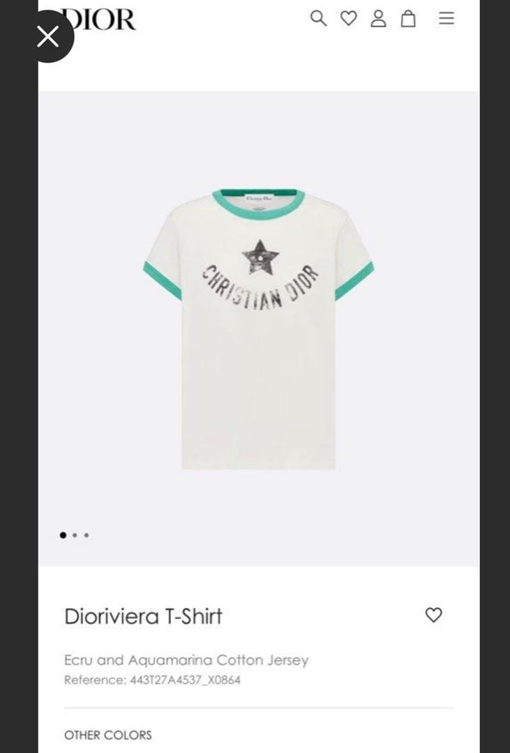 Dior T-Shirt Cotton Jersey ロゴプリントTシャツ