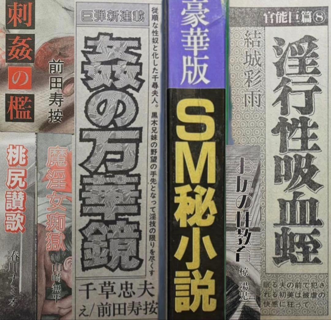 絶版】秘小説90年12月 千草忠夫 結城彩雨 　　前田寿按 楡畑雄二 椋陽児 他
