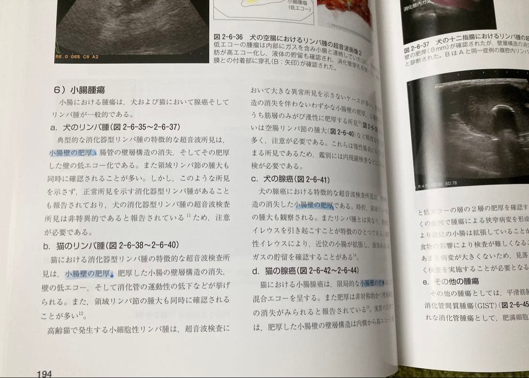 犬と猫のベーシック画像診断学 2冊セット