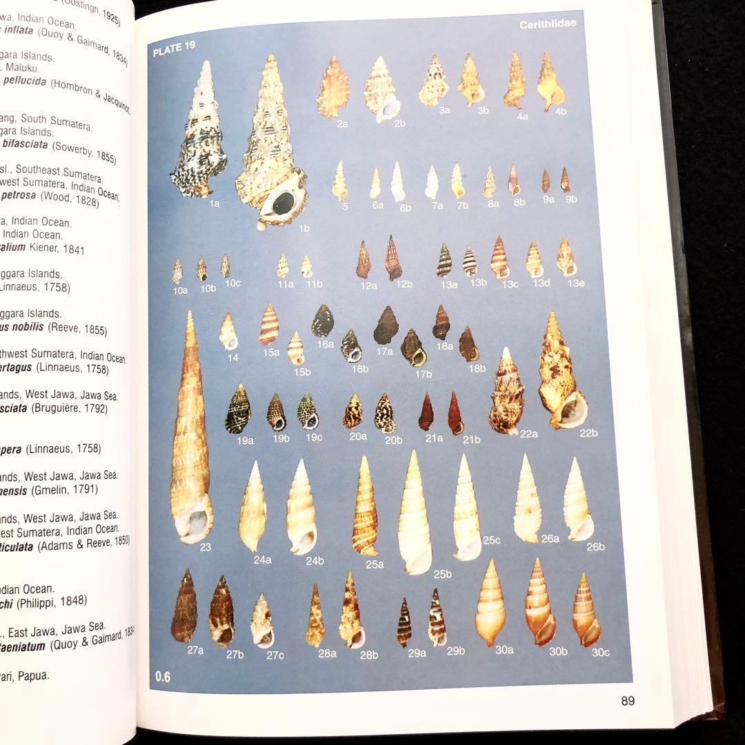 インドネシアの貝類と化石 図鑑「Indonesian Shells」