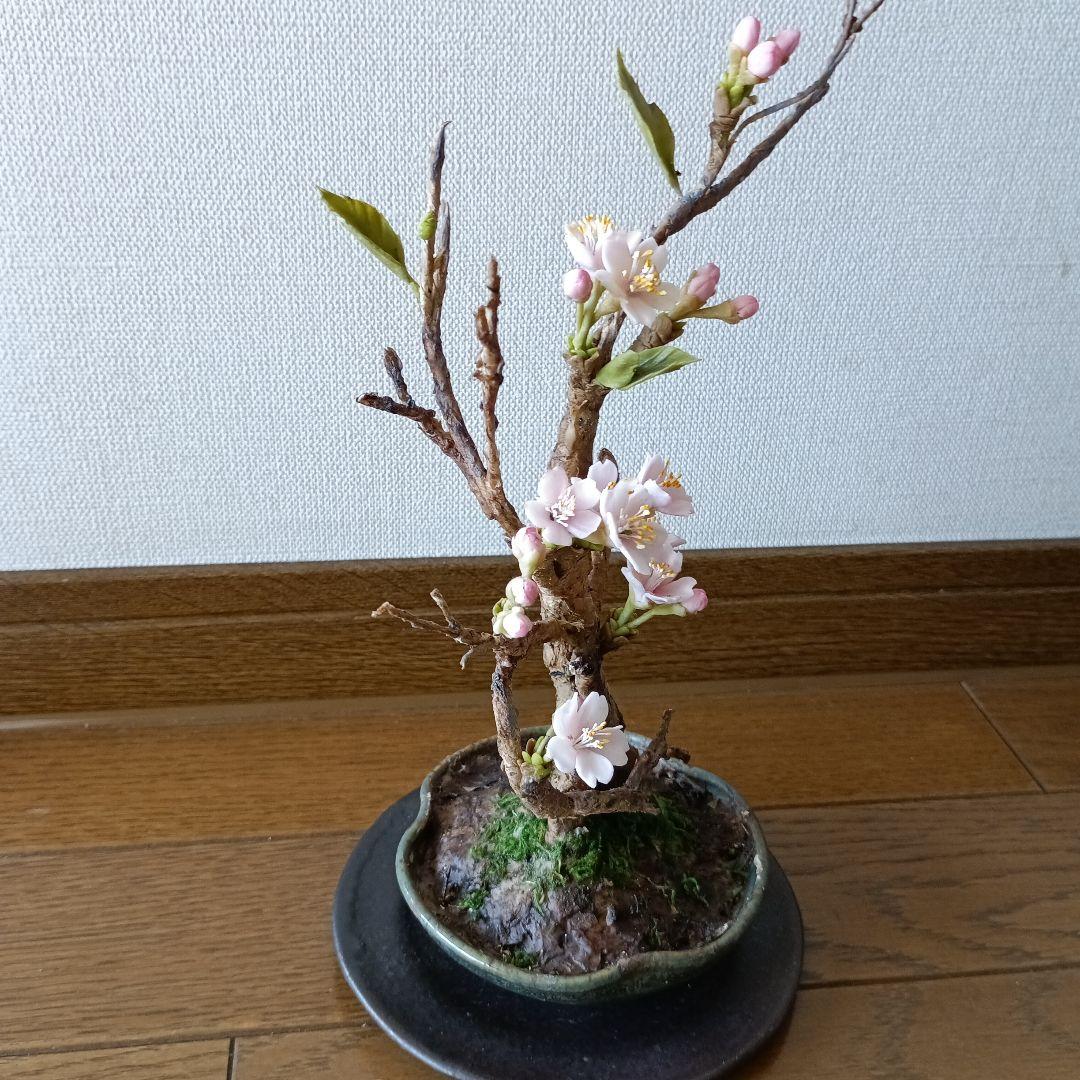 専用　桜の盆栽　樹脂粘土 　　　　　クレイフラワー