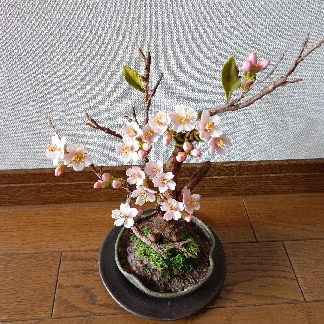 専用　桜の盆栽　樹脂粘土 　　　　　クレイフラワー