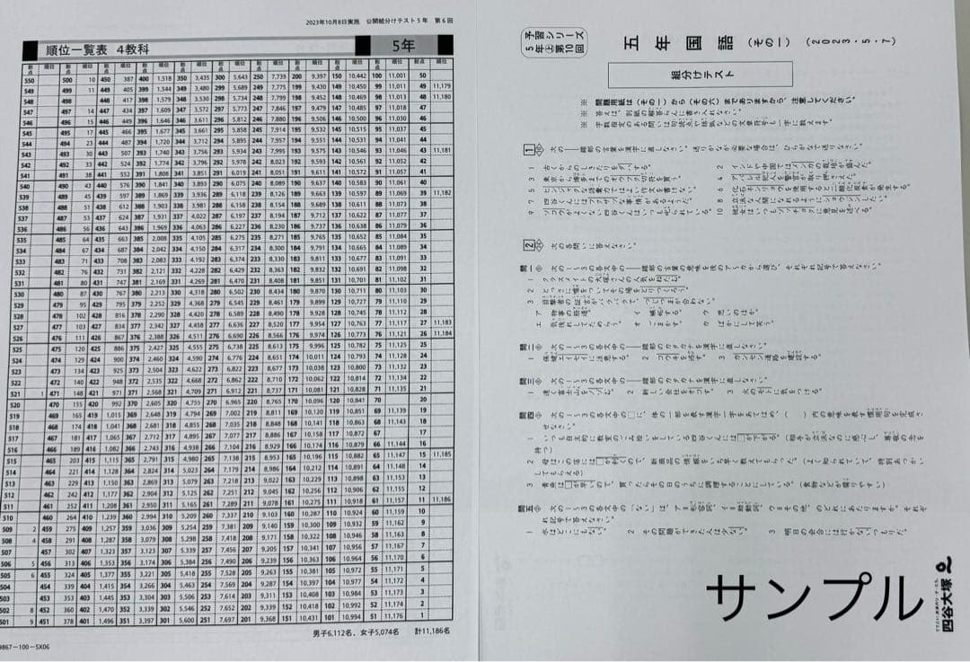 カバブー⭐️⭐️四谷大塚　5年生　組分けテスト　3年分　過去問フルセット