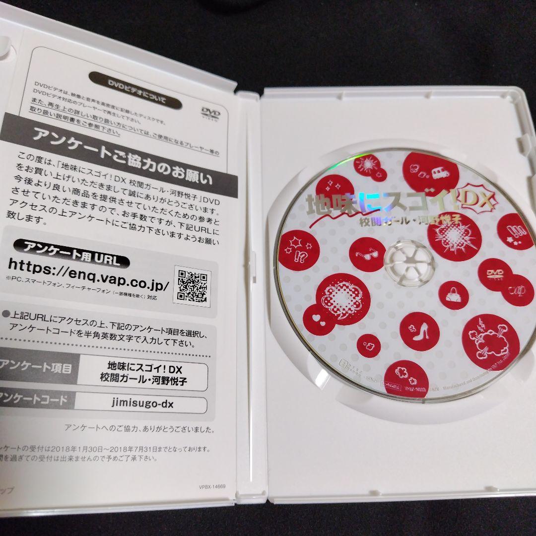 地味にスゴイ! 校閲ガール 河野悦子 DVD 全巻 DX