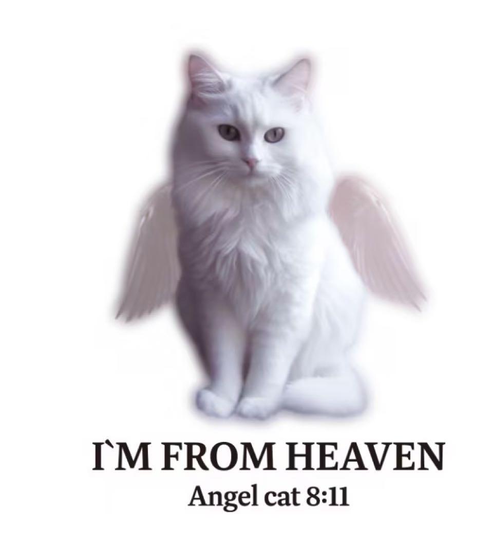 ITZAVIBE Tシャツ ANGEL CAT VER3☆NCTジェミン着用♡