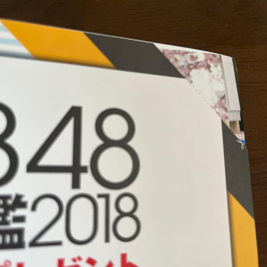 AKB48グループ プロフィール名鑑 2018 NMB48 安田桃寧サイン色紙