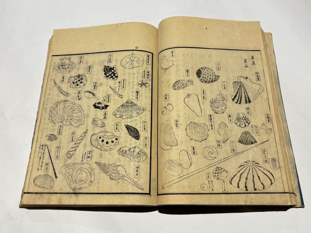 「尾張名所図会 前編」岡田啓他撰 小田切春江画 揃7冊|和本 名古屋 愛知県