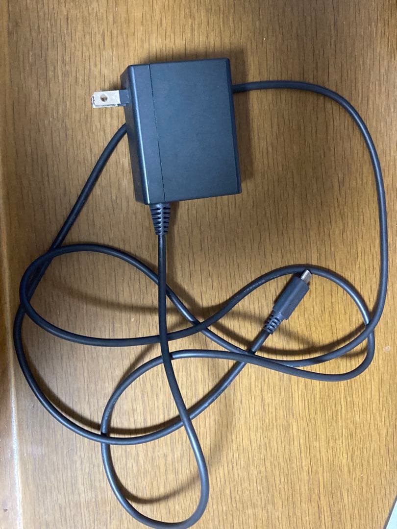 ★ジャンク品 動作確認済★ ニンテンドースイッチライト 充電器付き