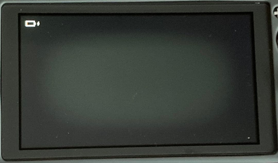 ★ジャンク品 動作確認済★ ニンテンドースイッチライト 充電器付き