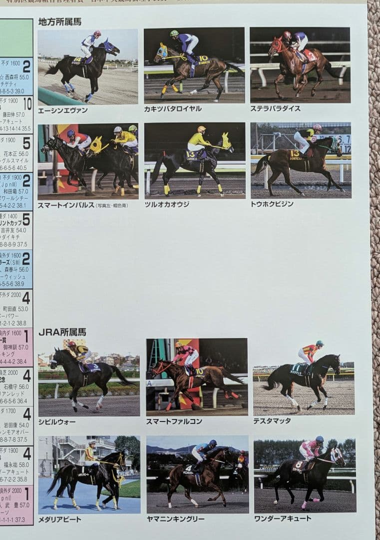 2011年東京大賞典レーシングプログラム & スマートファルコン単勝馬券セット