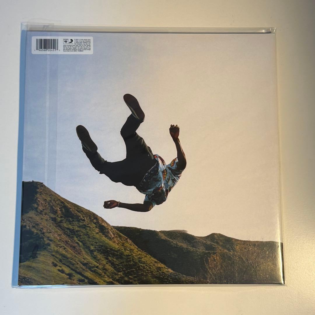 tyler the creator wolf レコード