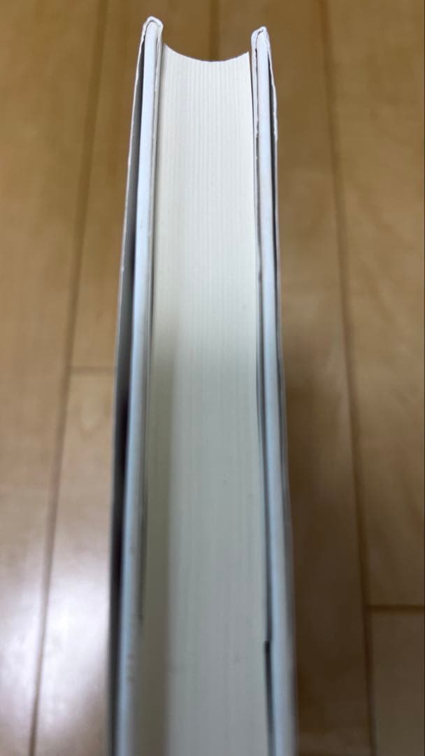 貨幣理論と景気循環. 価格と生産