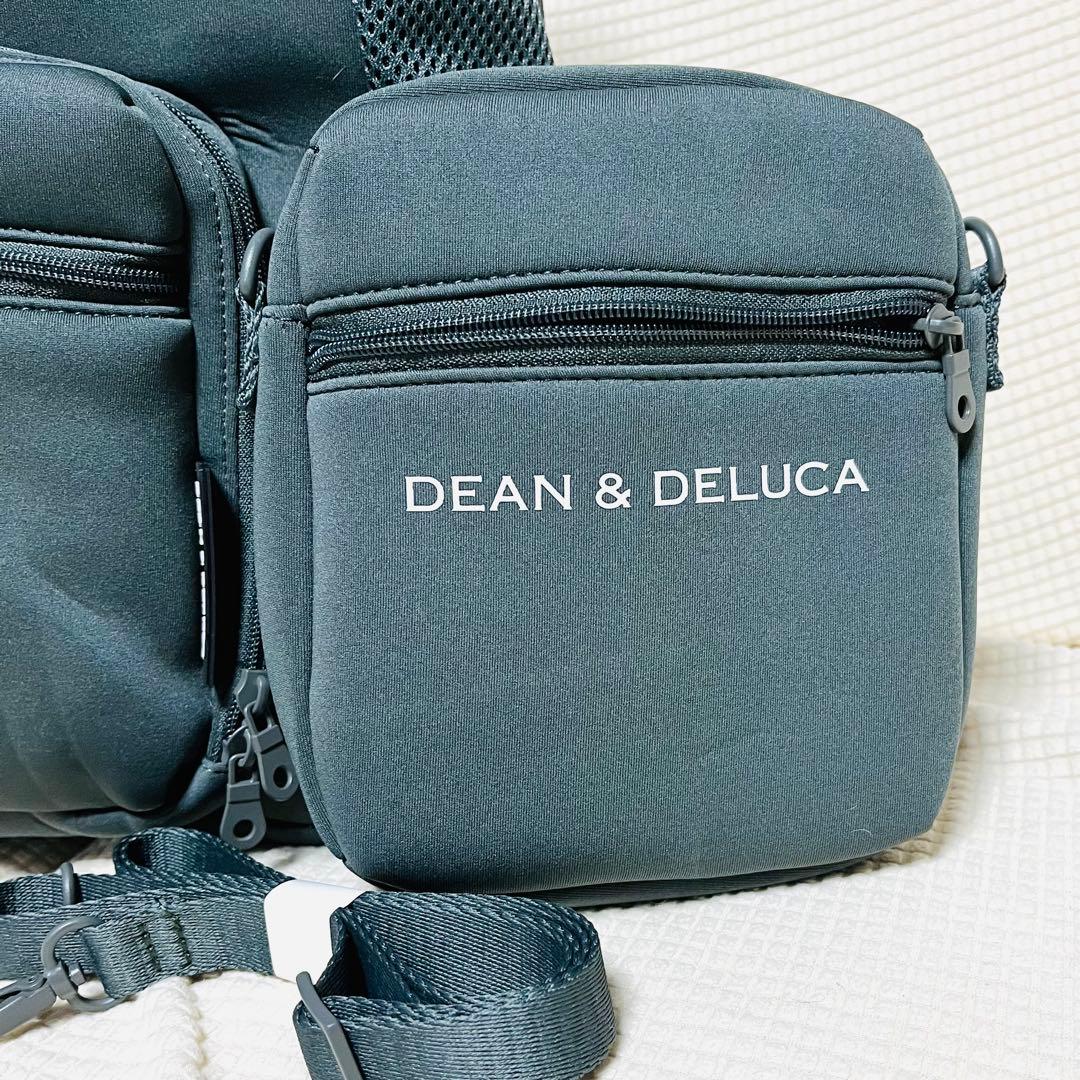 DEAN & DELUCA＆CITYDOG キャリーグレーバッグ M