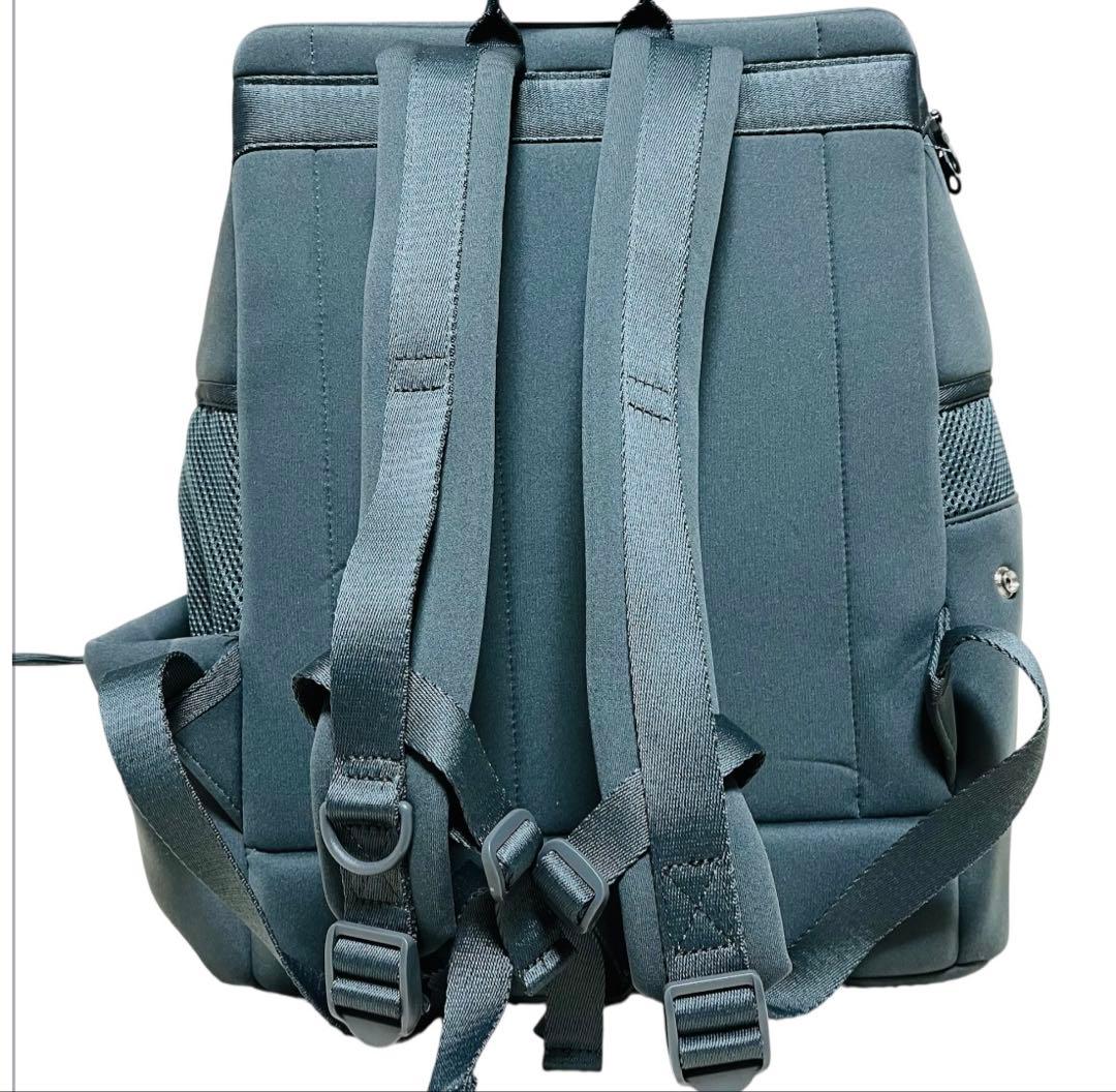 DEAN & DELUCA＆CITYDOG キャリーグレーバッグ M
