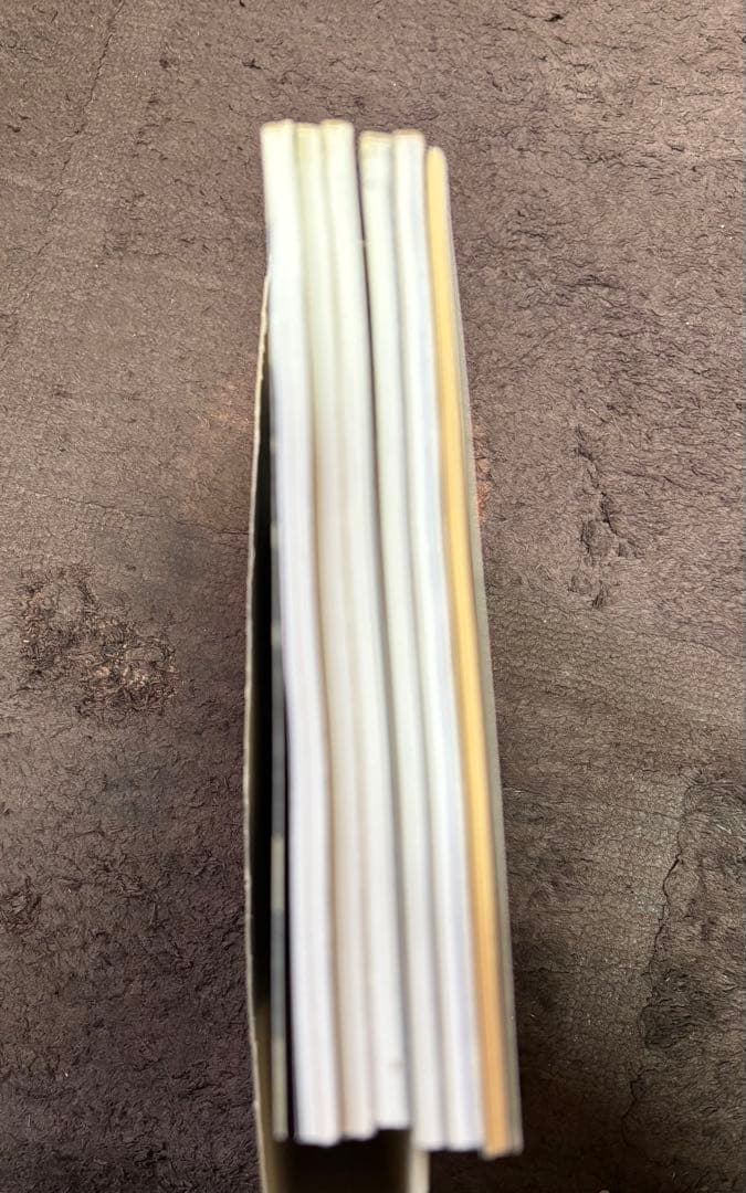 AKIRA オールカラー 国際版 12