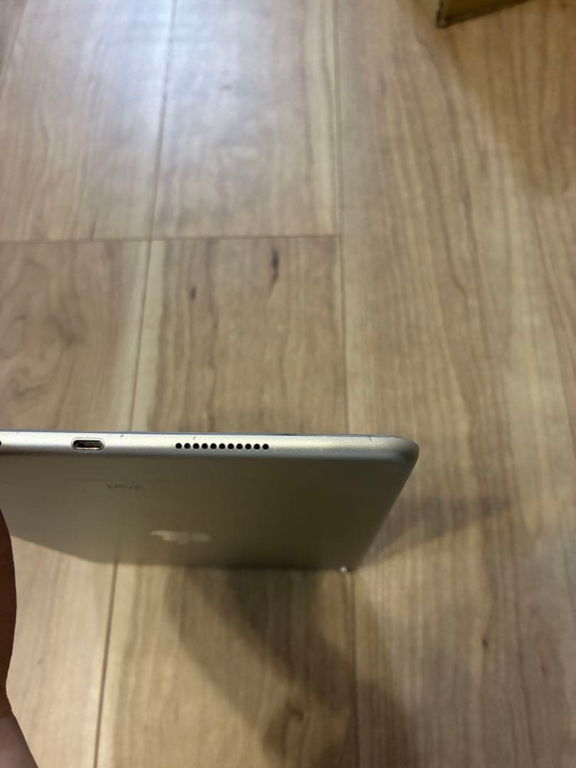 iPad Pro (10.5インチ) 64GB シルバー　充電器付き