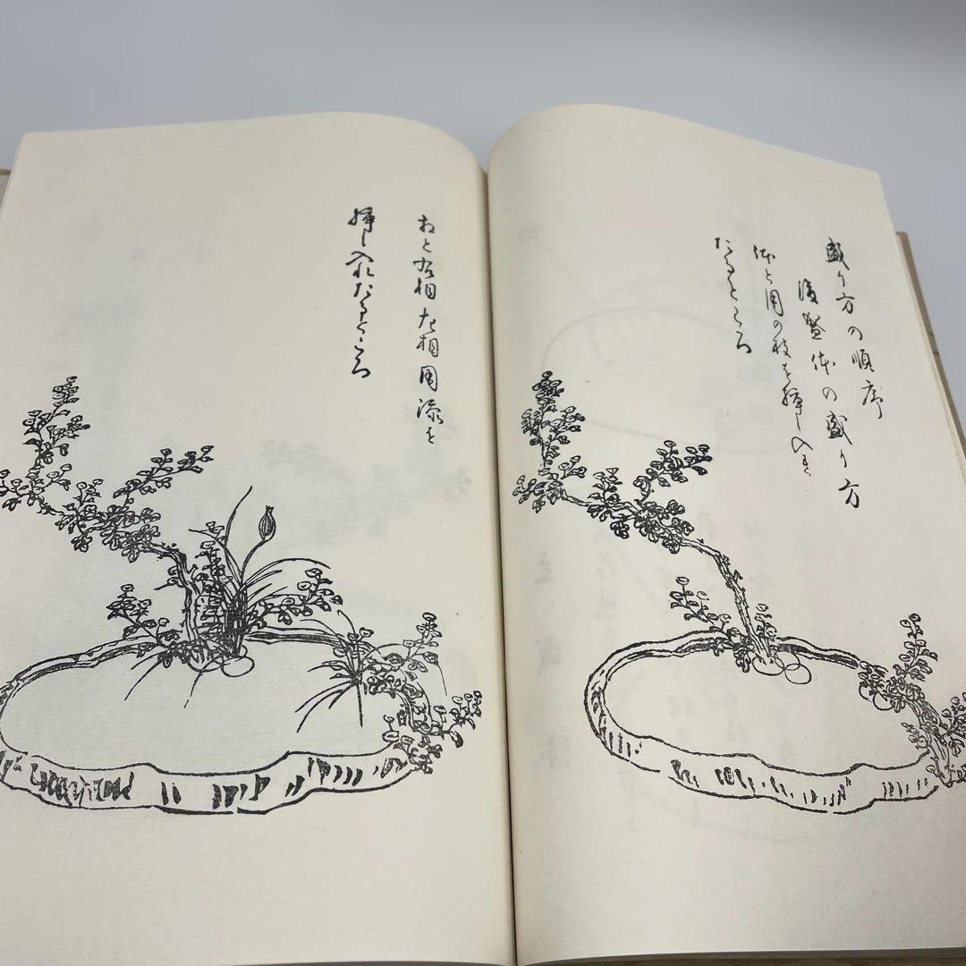 【希少】嵯峨御流 華道伝書 5冊セット 鳳凰之巻・菊・桐・竹 準皆伝 華道教本
