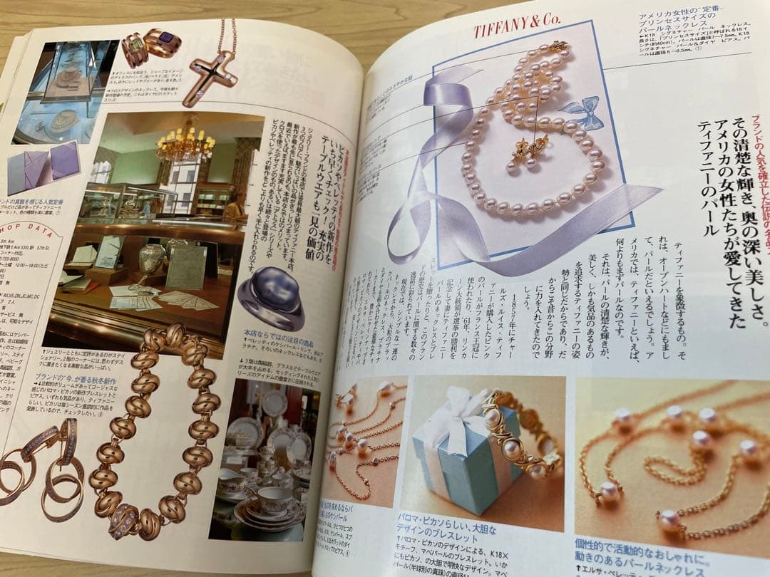 永久保存版　海外有名ブランド本店の威光　Domani  ドマーニ　創刊号