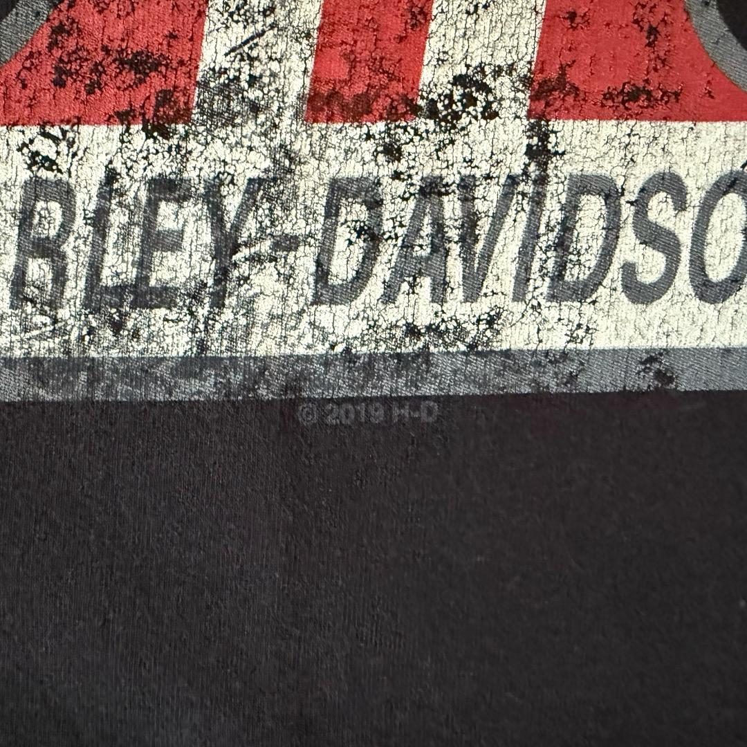 0*5様 Harley‑Davidson #1Stars and Stripes