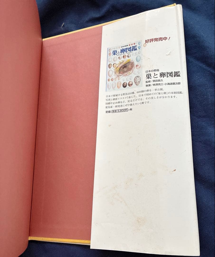 日本の野鳥　羽根図鑑 改訂新版