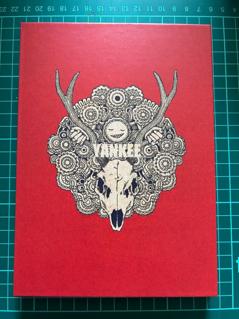 米津玄師 YANKEE (初回限定盤)(画集盤) タワレコ特典クリアファイル付き