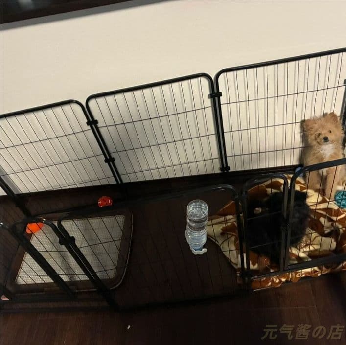 犬用サークルケージ ドア付き 組立簡単 レイアウト自由 脱走防止 自立
