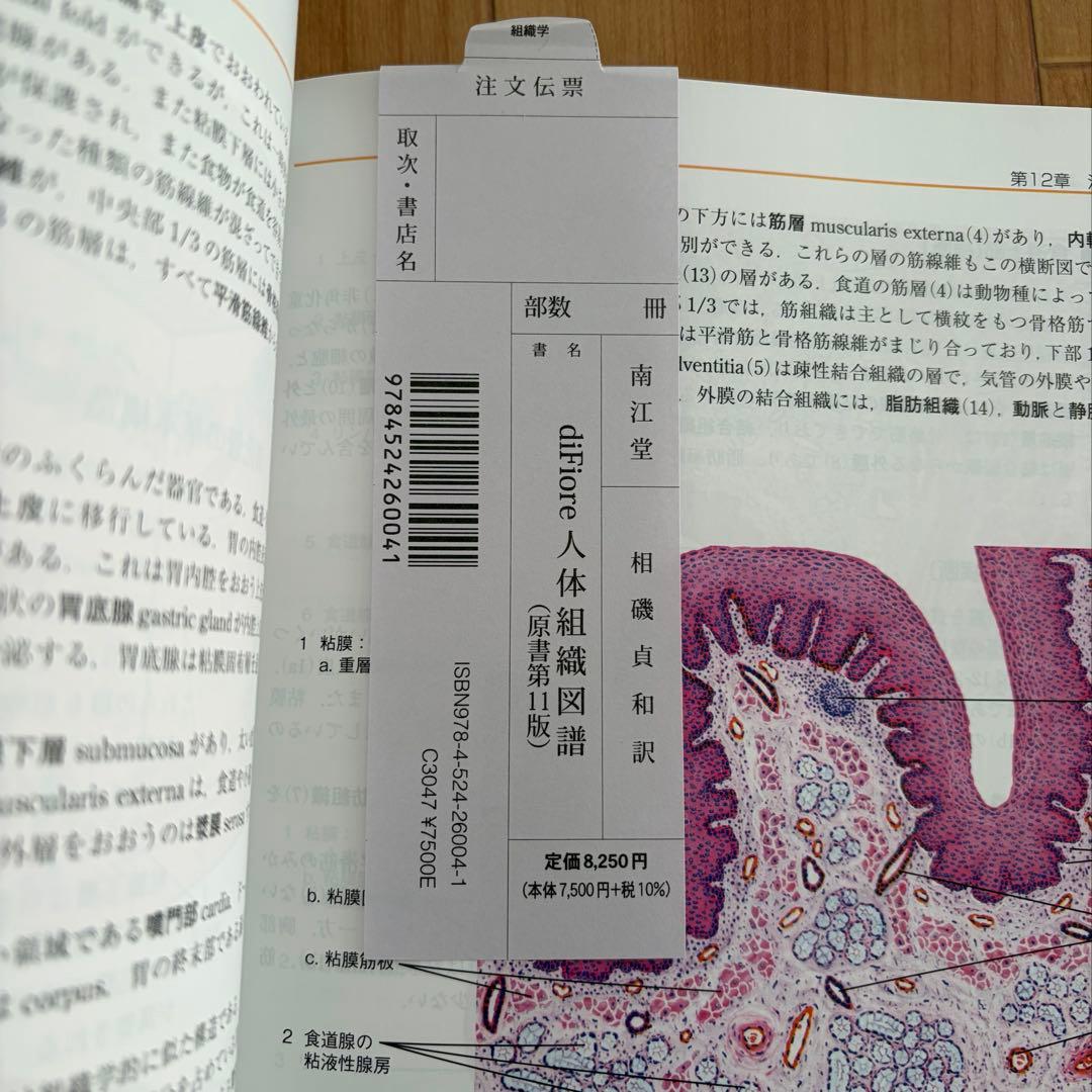人体組織図譜 原書第11版