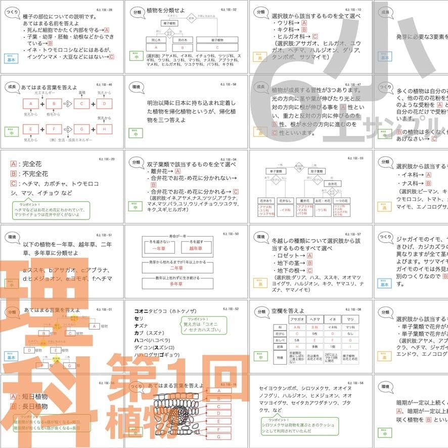 中学受験【6年上 理科 全セット1-17回】暗記カード 予習シリーズ 組分け