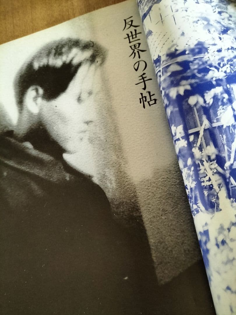 中井英夫スペシャル　１改訂版　反世界の手帳　別冊幻想文学　絶版書籍