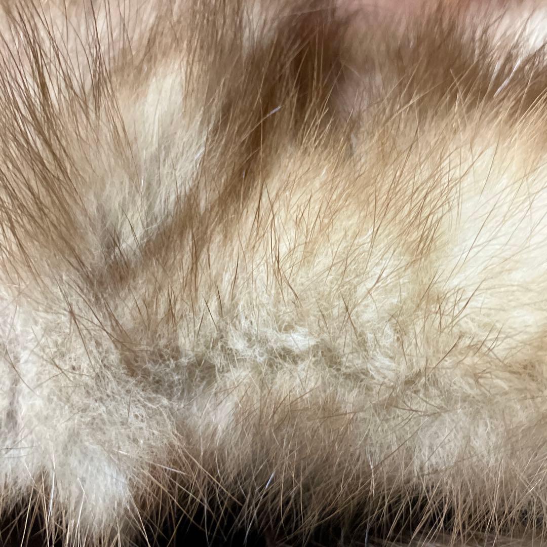 美品２点！セーブル ストール&新品手袋付き
