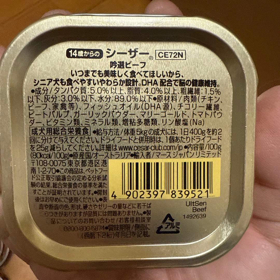 シーザー14歳