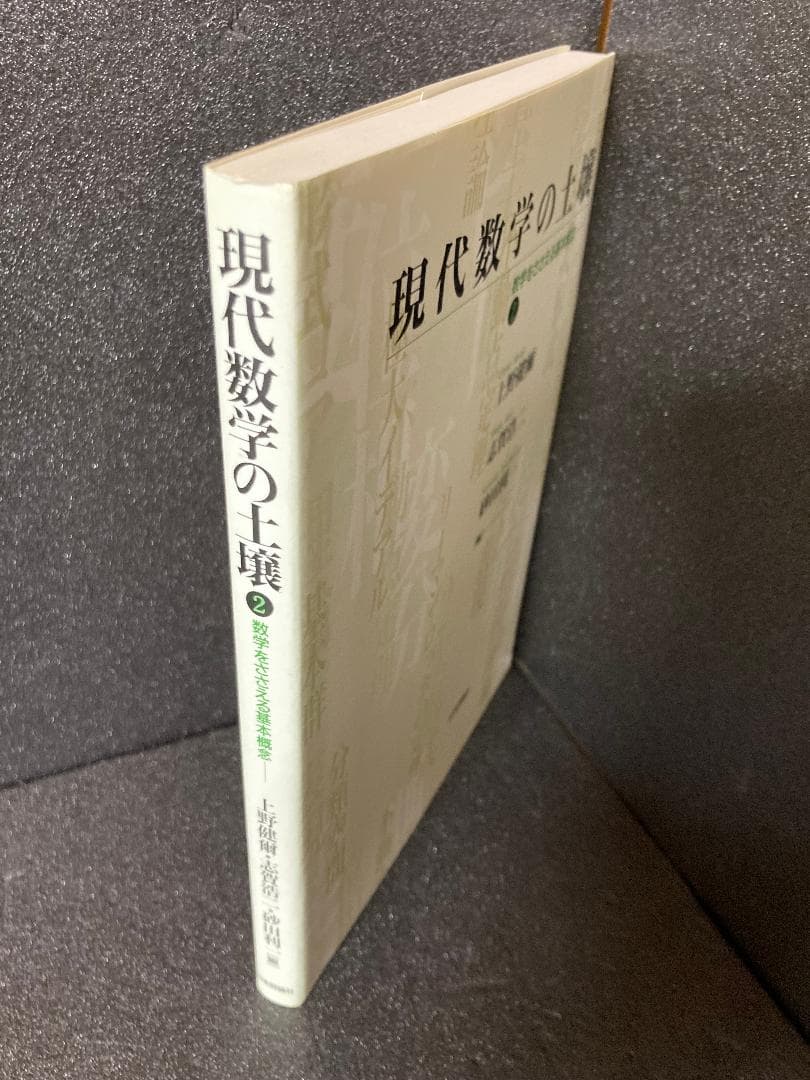 現代数学の土壌 2: 数学をささえる基本概念