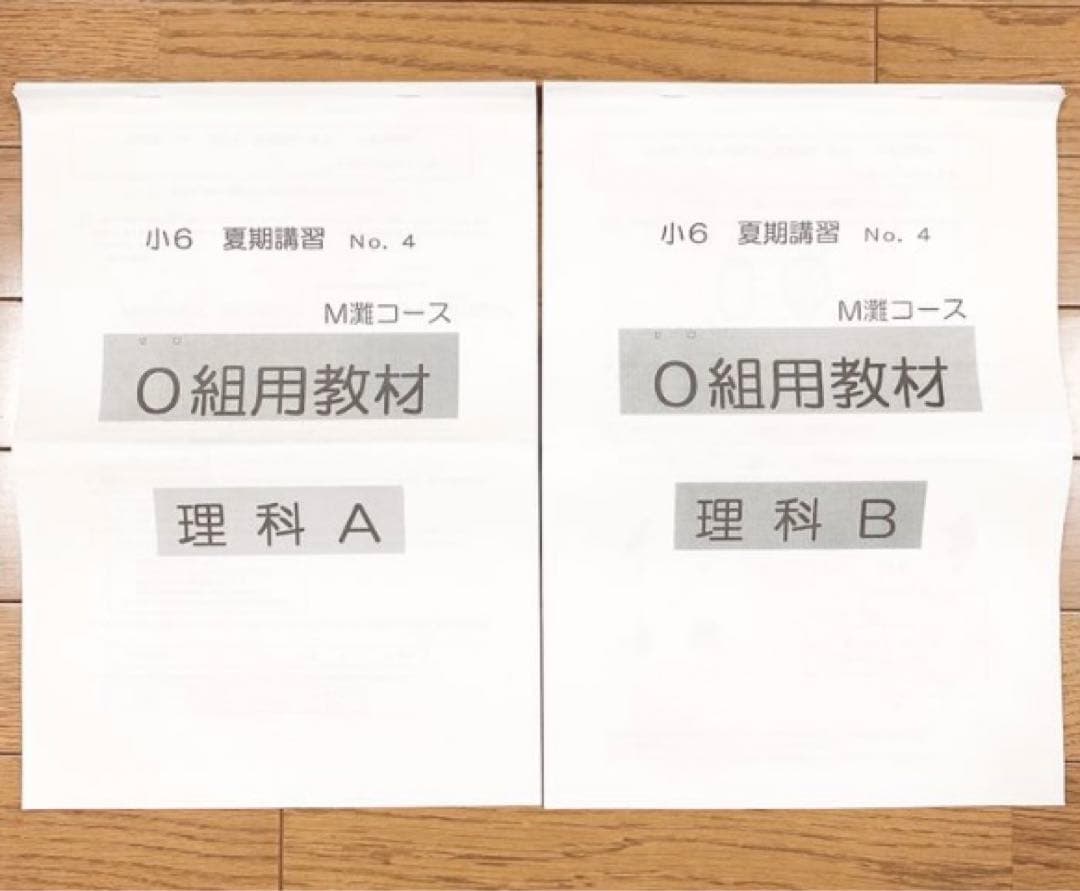 浜学園 小6 夏期講習 理科 M灘コース 0組用教材 テキストまとめ売り