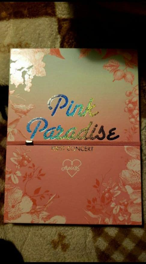 ミュージック Apink  DVD